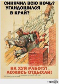 Прикольные картинки. Дневной выпуск