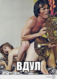 Красивые женские попки