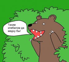 Надоели котики? Смотрите бегемотиков!