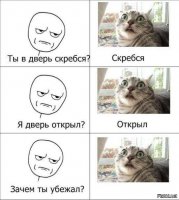 Котоматрица