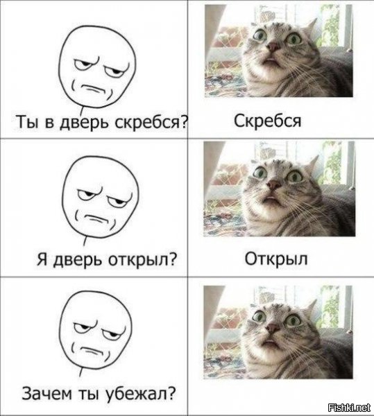 Котоматрица