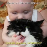 Котоматрица