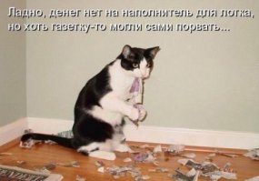 Котоматрица