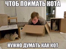 Котоматрица