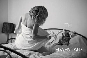 Котоматрица