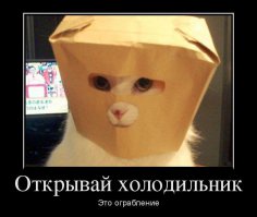 Котоматрица