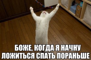 Котоматрица