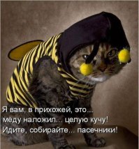 Котоматрица