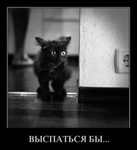 Котоматрица