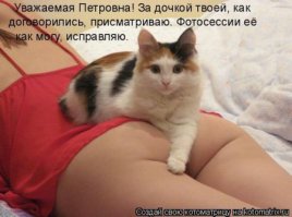 Котоматрица