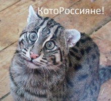 До весны осталось совсем чуть-чуть