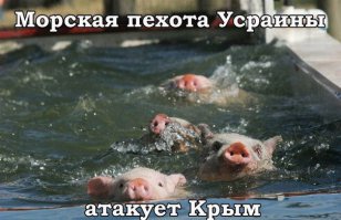 Бандеровские скоты!!! В дополнение к данной теме!!!