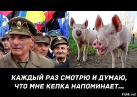 Бандеровские скоты!!! В дополнение к данной теме!!!