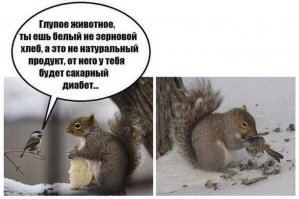 идеальная реакция на фанатичных ЗОЖевцев