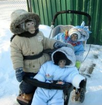 Прикольные картинки