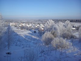Красота