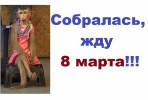 Прикольные картинки. Дневной выпуск