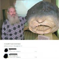 Смешные комментарии из соцсетей