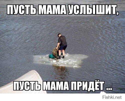 Прикольные картинки. Дневной выпуск