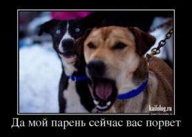 Демотиваторы