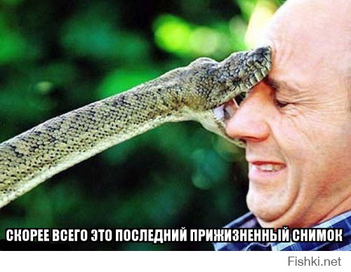 Фото сделанное в нужный момент