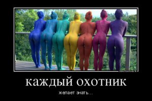 "Фазан" не на месте.