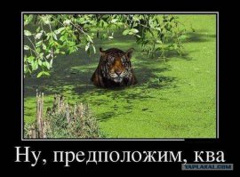 Мокрые киски 2