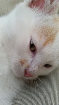 Ну когда же он уже вернётся со своей работы...?