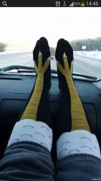 Девушки в лосинах