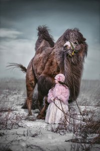 Красиво
