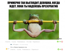 Смешные комментарии фишкян