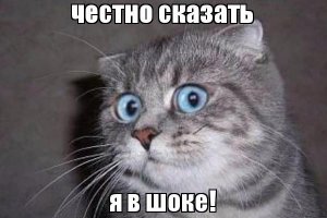 Не хорошо так. Коты можно сказать подняли собою мировую сеть.