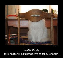 Найди кота - 4 уровня