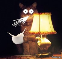 Кошечка заказана в Китае