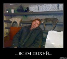 Мохнатые шутки