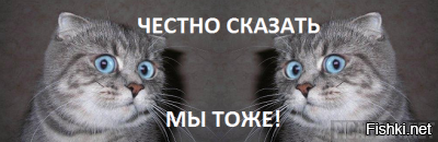 Ах эта... свадьба - свадьба
