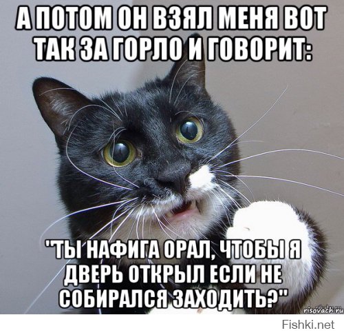 Мохнатые шутки