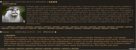 Смешные комментарии и высказывания из социальных сетей