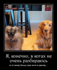 Кот-оборотень ( А по мне, так симпатяха)