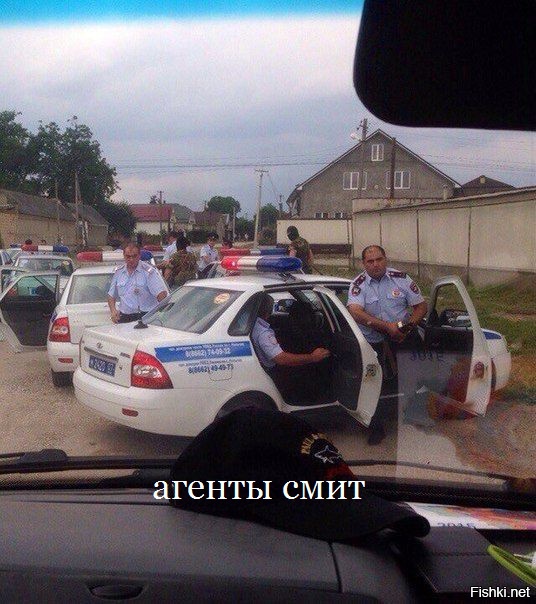 Прикольные картинки. Выпуск ночной
