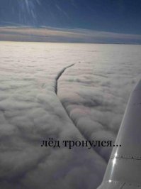 Прикольные картинки. Выпуск ночной