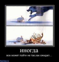 Зверюшки атакуют