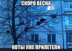 Весна