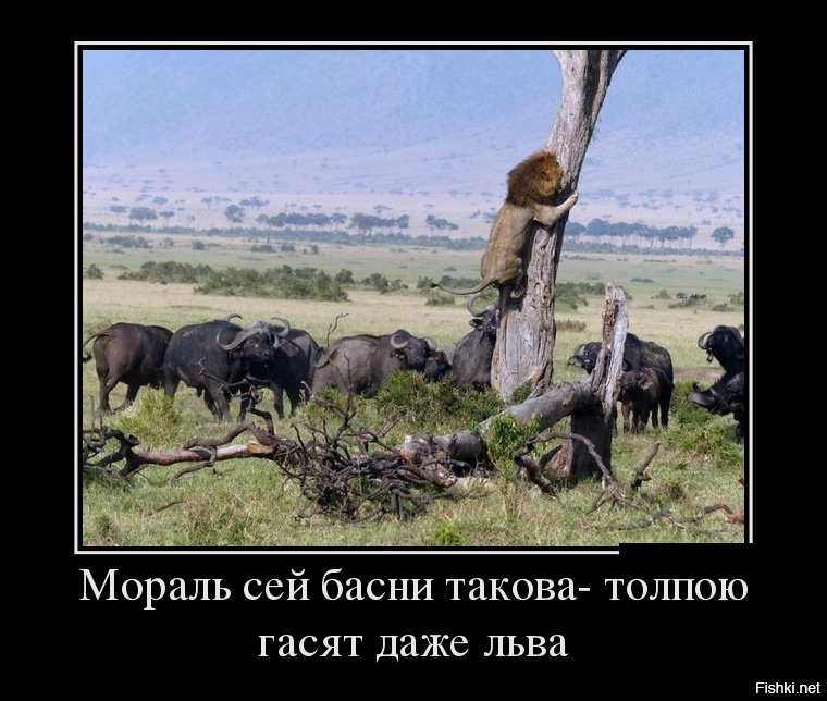 cf6a829d41f13c1de483d1a22453e2a7.jpg