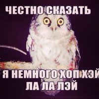 Парень из Британии, построил для себя домик Хоббита