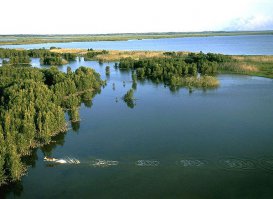 Подборка фотографий, сделанных в нужный момент