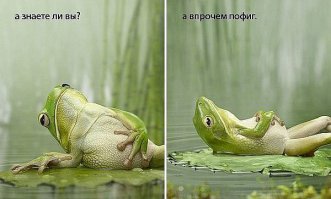 Следуя примерам ФИШЕК