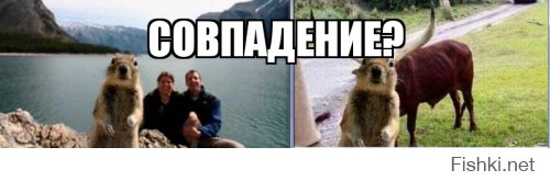 Подборка фотографий, сделанных в нужный момент