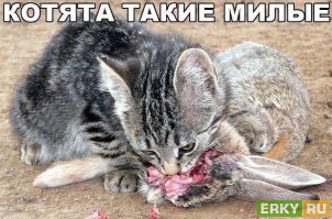 К первому апреля... подборочка