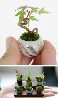 Картинки (мини)